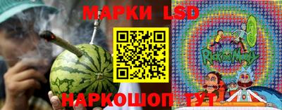 ALPHA PVP Гусев