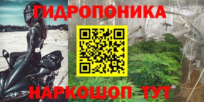 марихуана Гусиноозёрск
