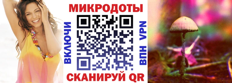 что такое наркотик  Новодвинск  Псилоцибиновые грибы мицелий 