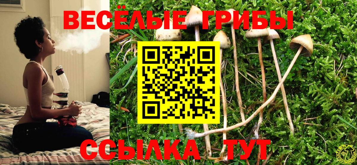 дарнет шоп  Новодвинск  Галлюциногенные грибы мухоморы 