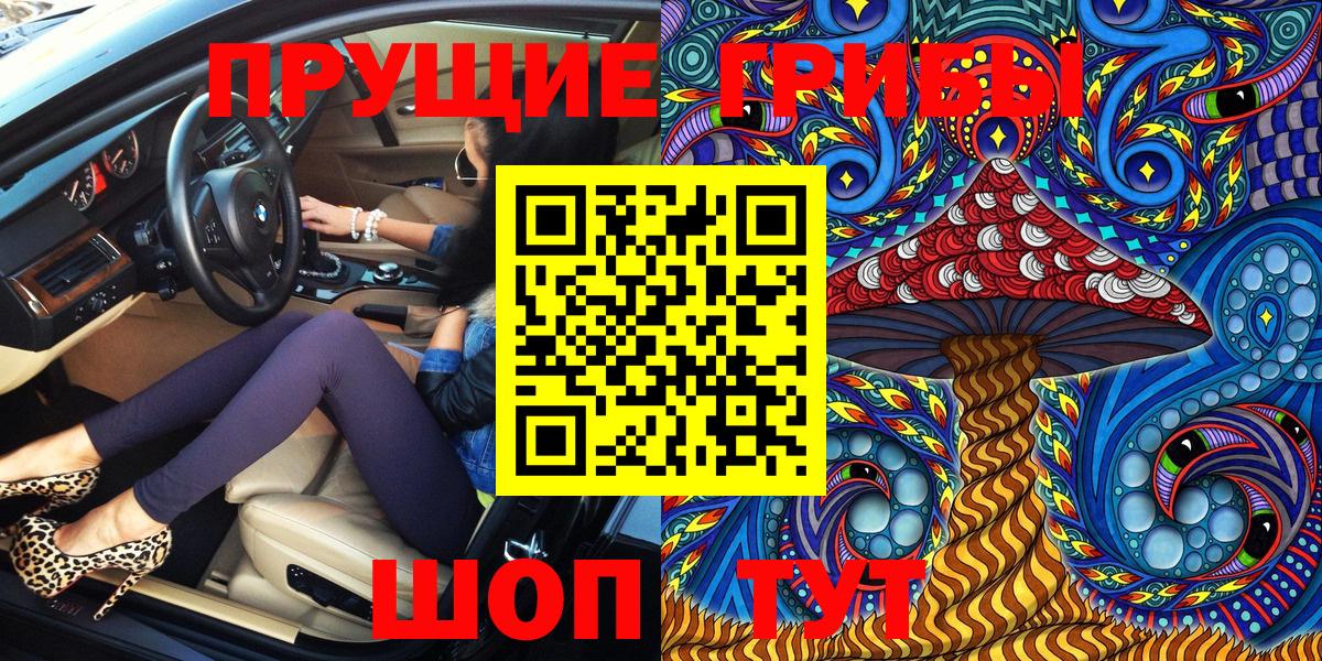 Галлюциногенные грибы MAGIC MUSHROOMS  Вход с VPN  Галлюциногенные грибы GOLDEN TEACHER  купить наркотик  Новодвинск 