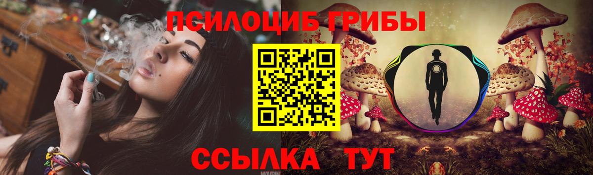 Псилоцибиновые грибы Cubensis Новодвинск