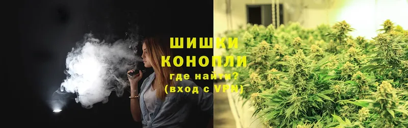 Марихуана SATIVA & INDICA  Новодвинск 